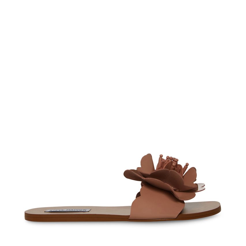 Brown Steve Madden Chelsea Women's Flat Sandals | PH 5728MAK